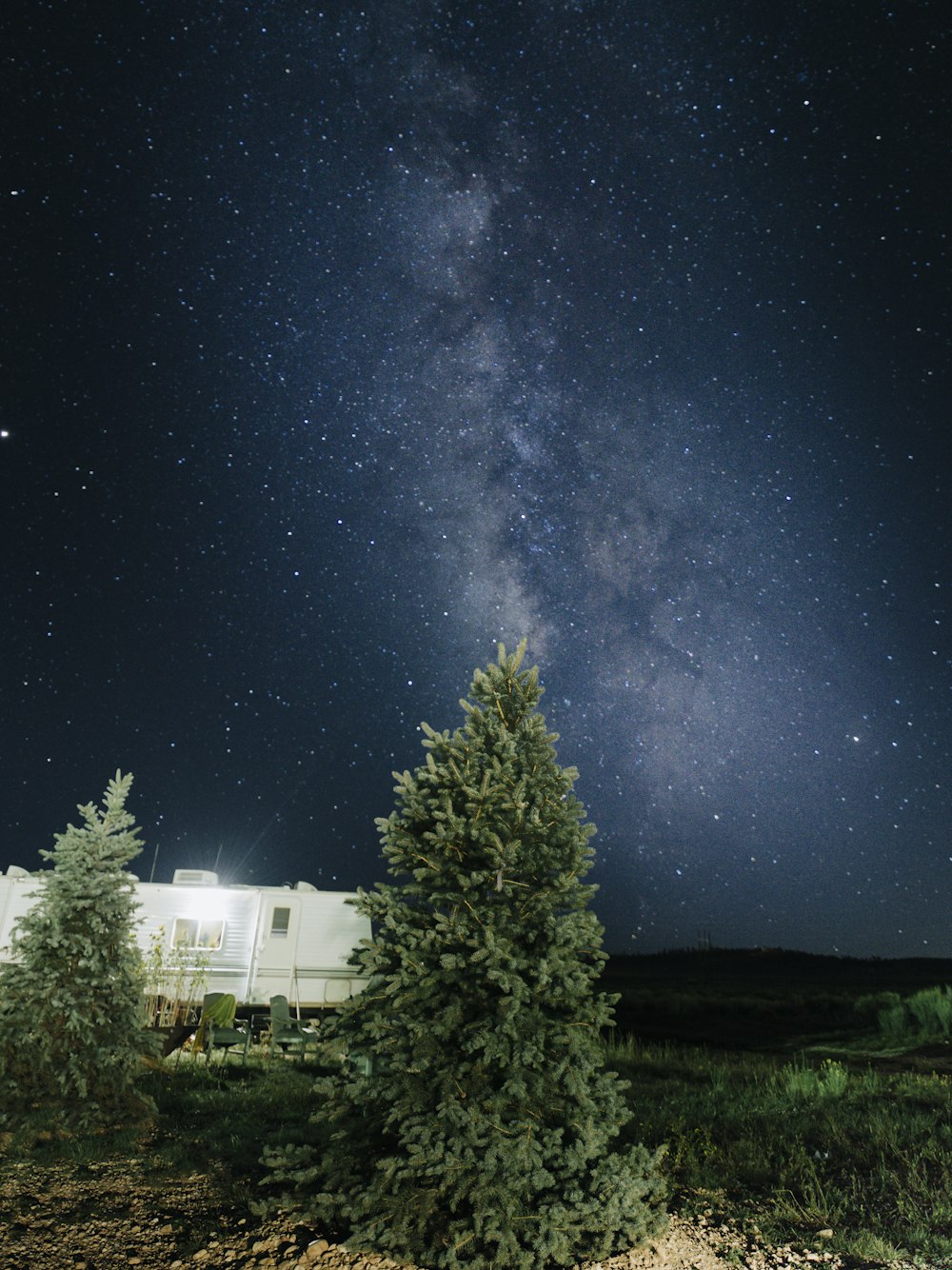 white house near green trees under starry night