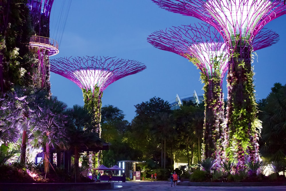 purple and white heart shaped light decor