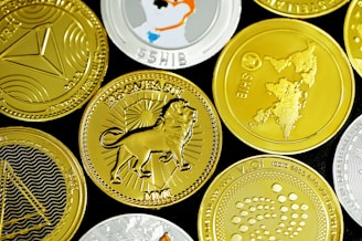 gold and silver round coins