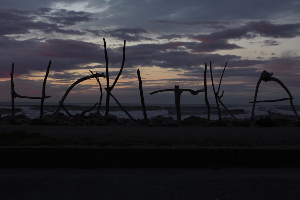 silhouette di alberi sulla spiaggia durante il tramonto