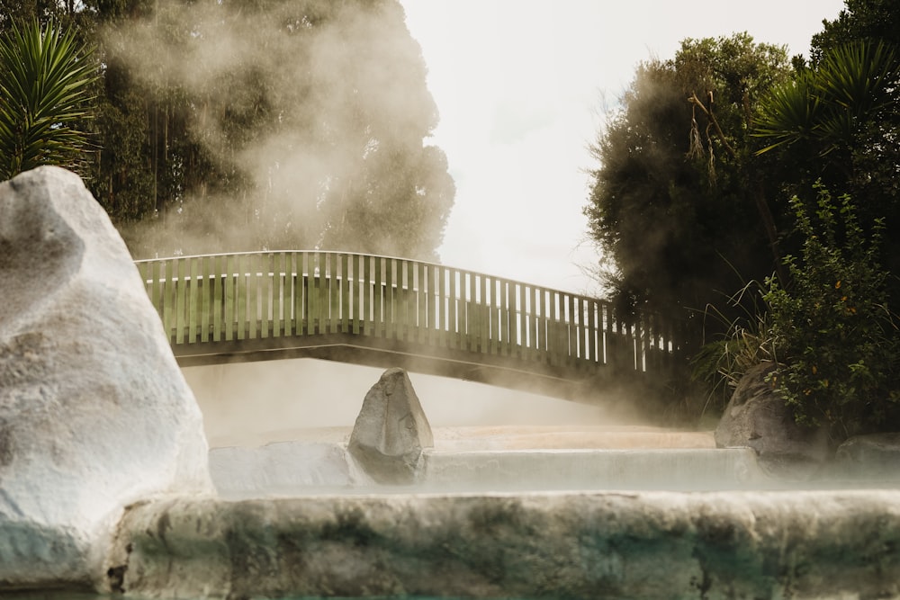 green trees near white concrete bridge