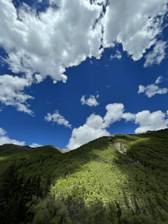 A lush green hillside lot with panoramic mountain views under a bright blue sky.