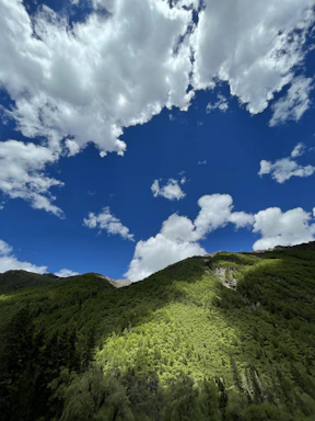 A lush green hillside lot with panoramic mountain views under a bright blue sky.