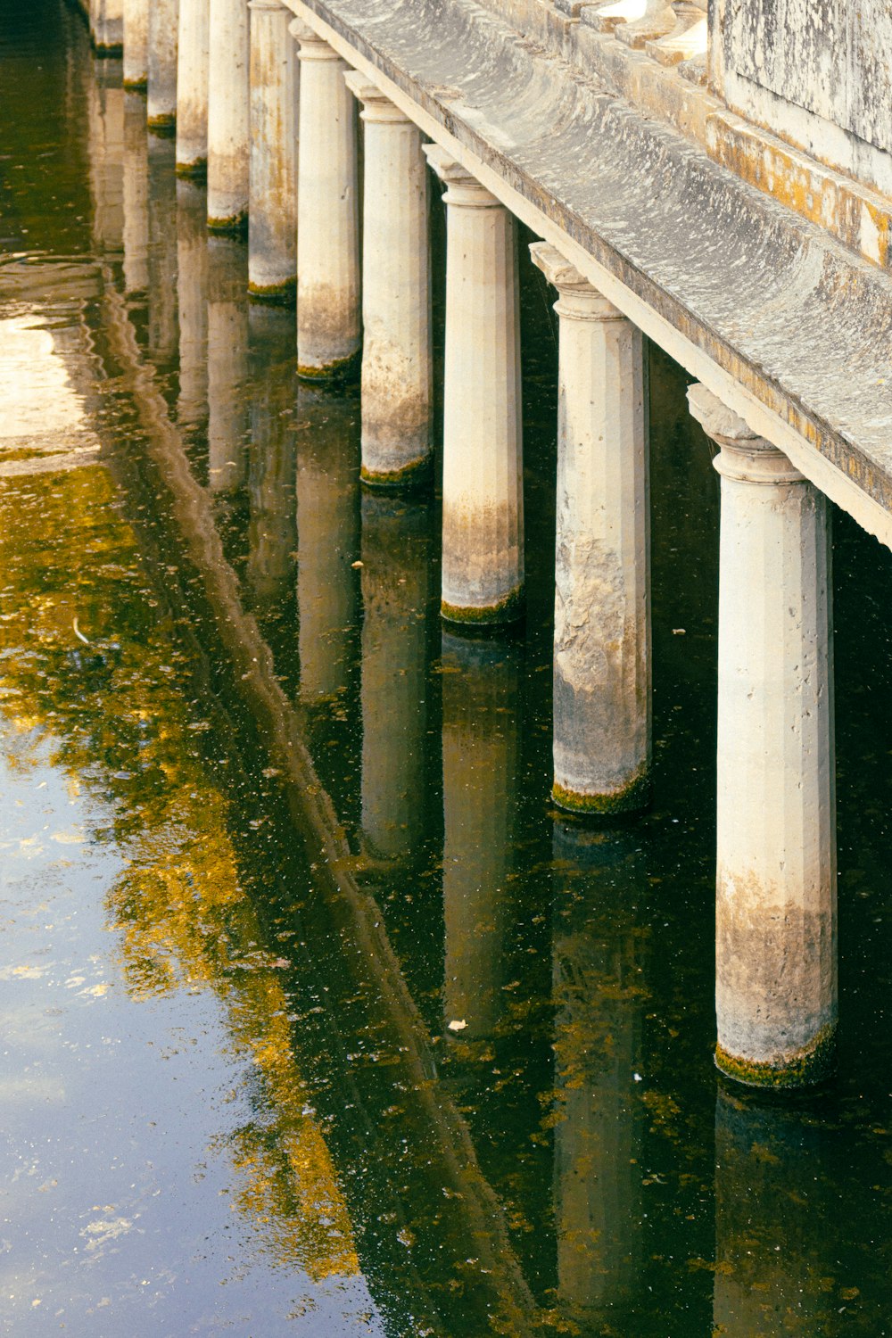 weiße Holzbrücke über Wasser