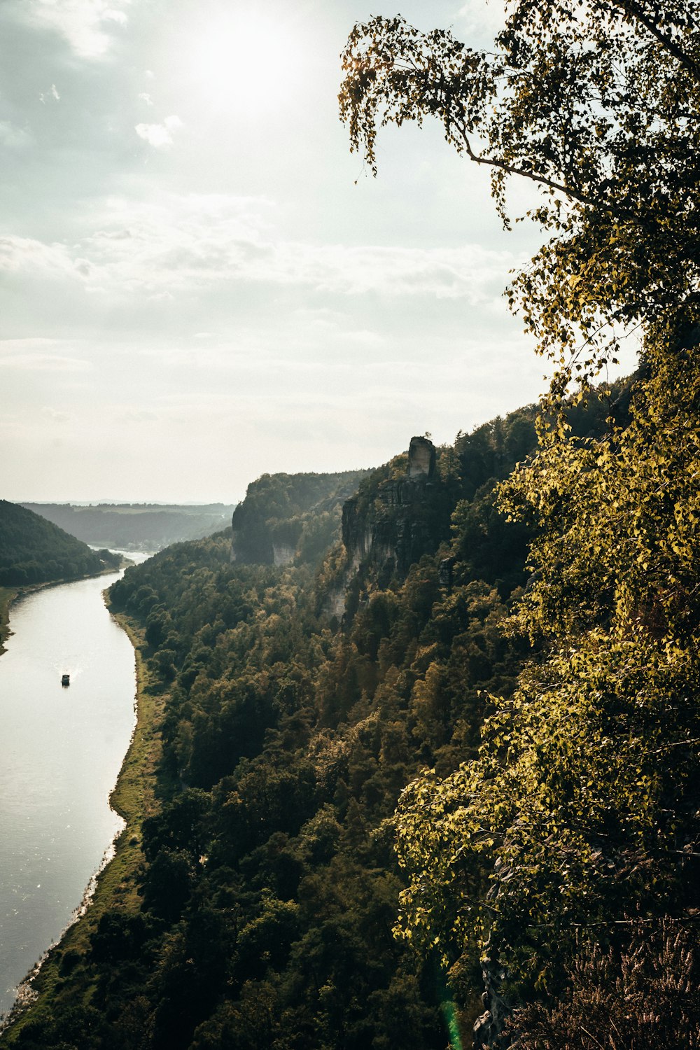 green trees on mountain near body of water during daytime