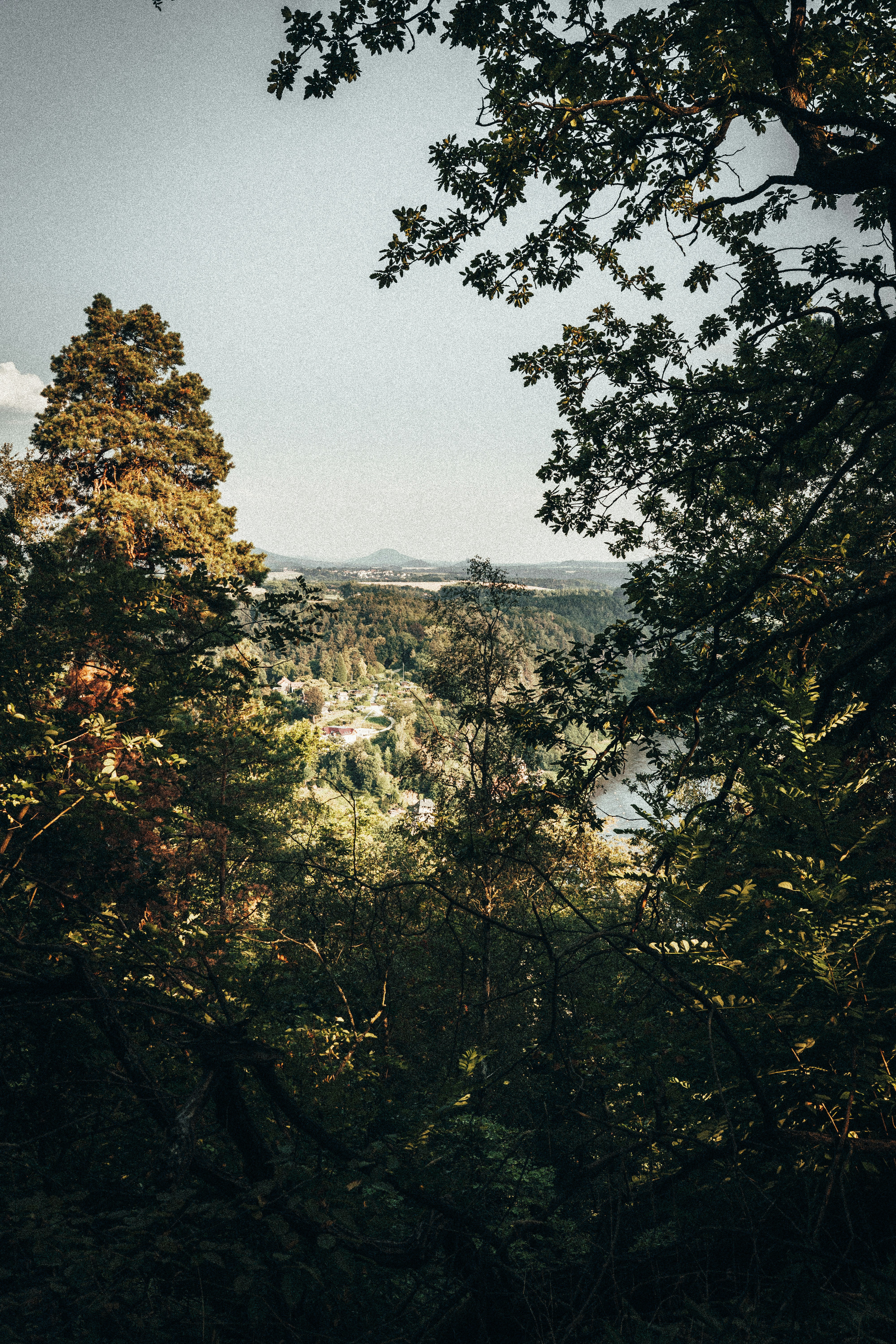 Photo by paul_meckes