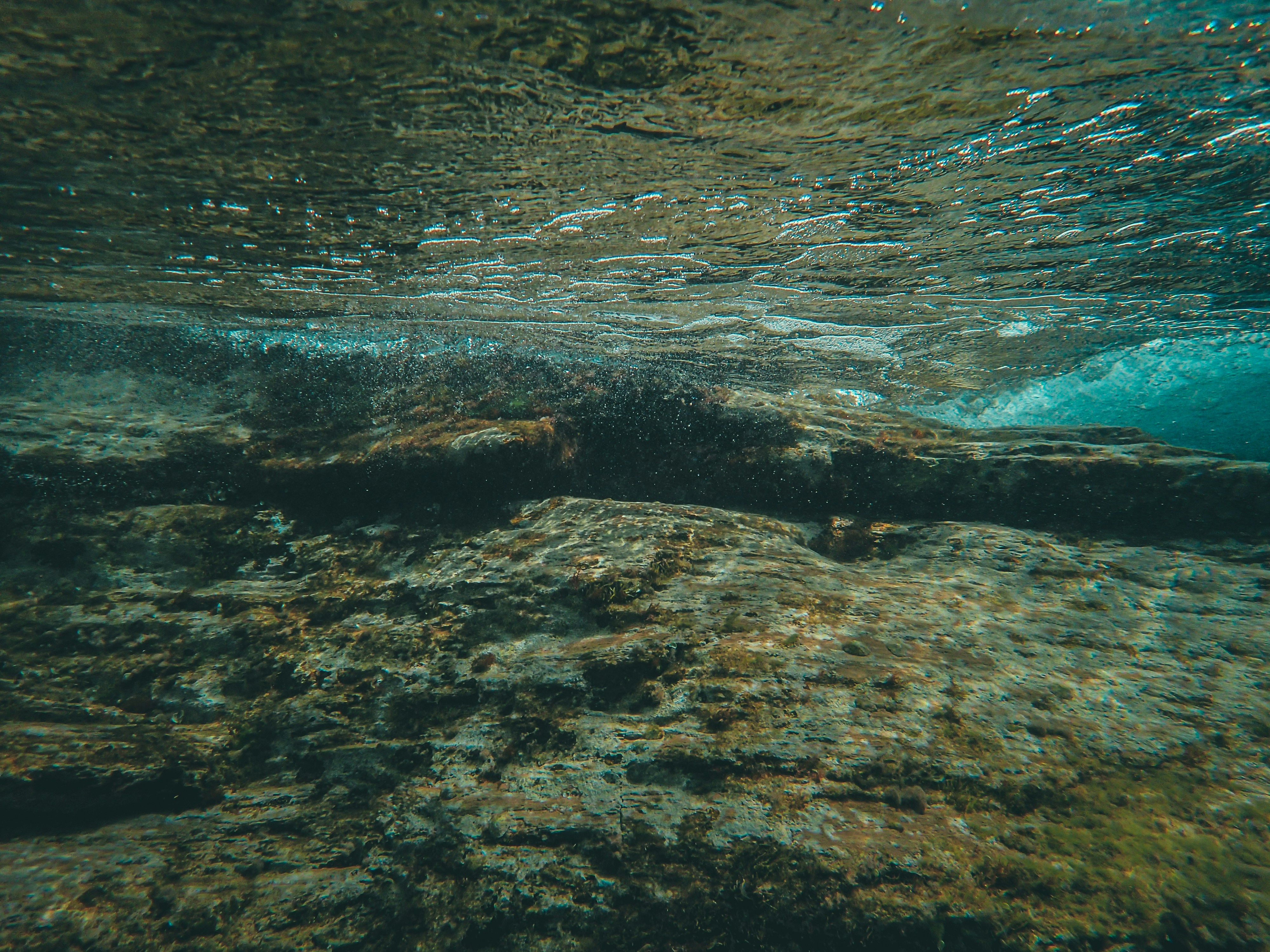 Pacific Subduction: Where Ocean Floor Goes to Die (image credits: unsplash)