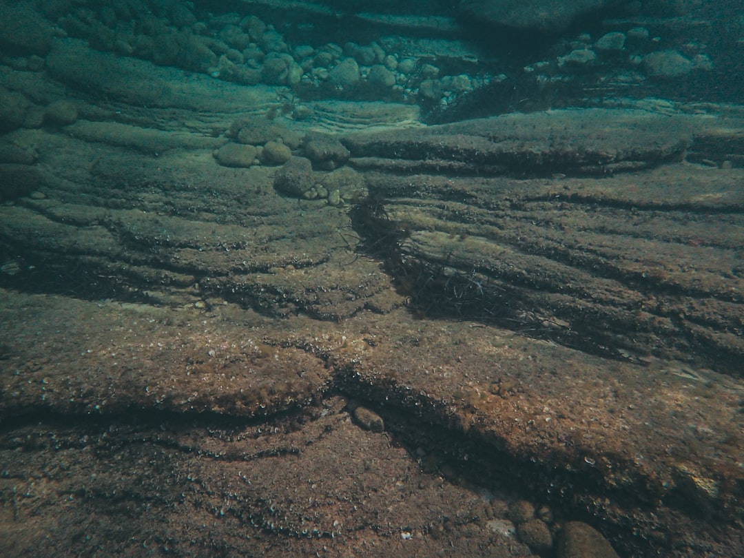 green and brown land formation