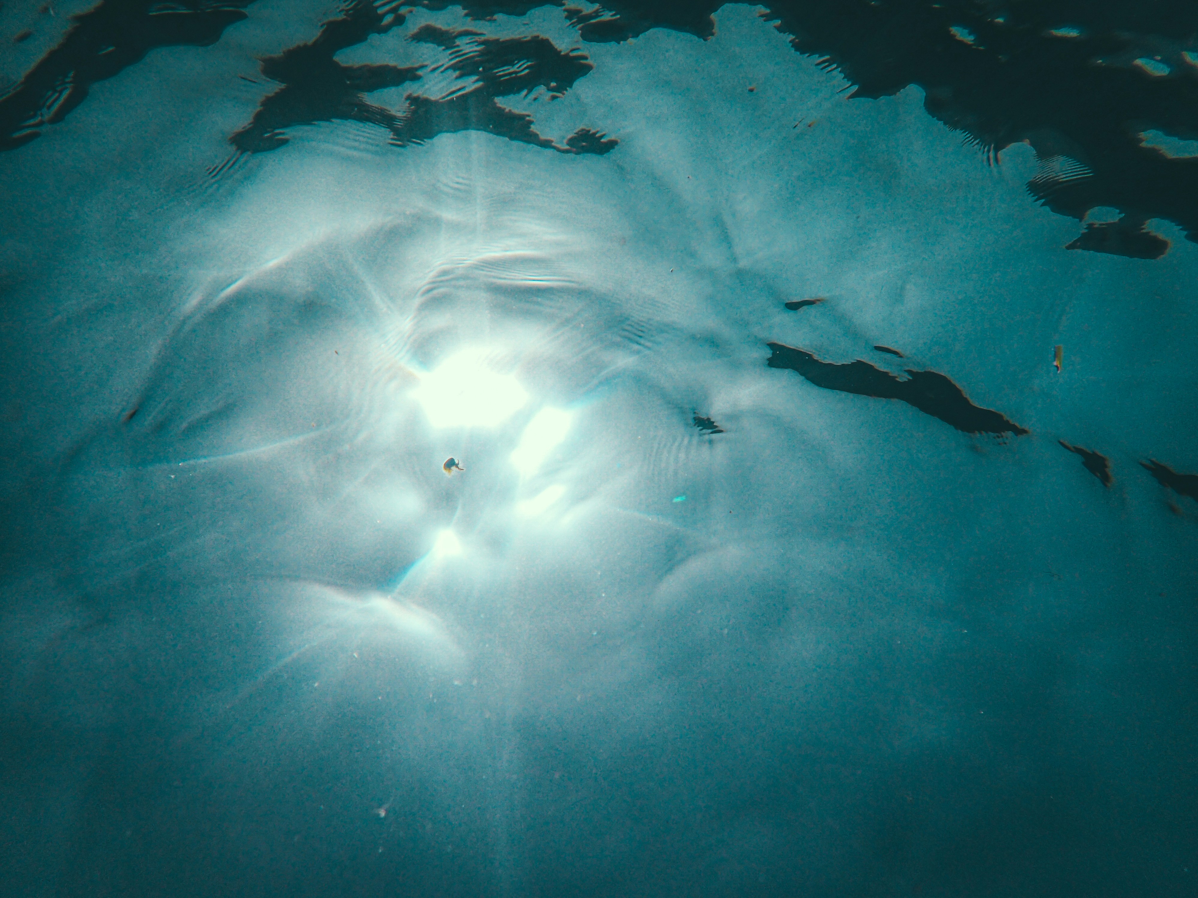 Photo by francesco_ungaro