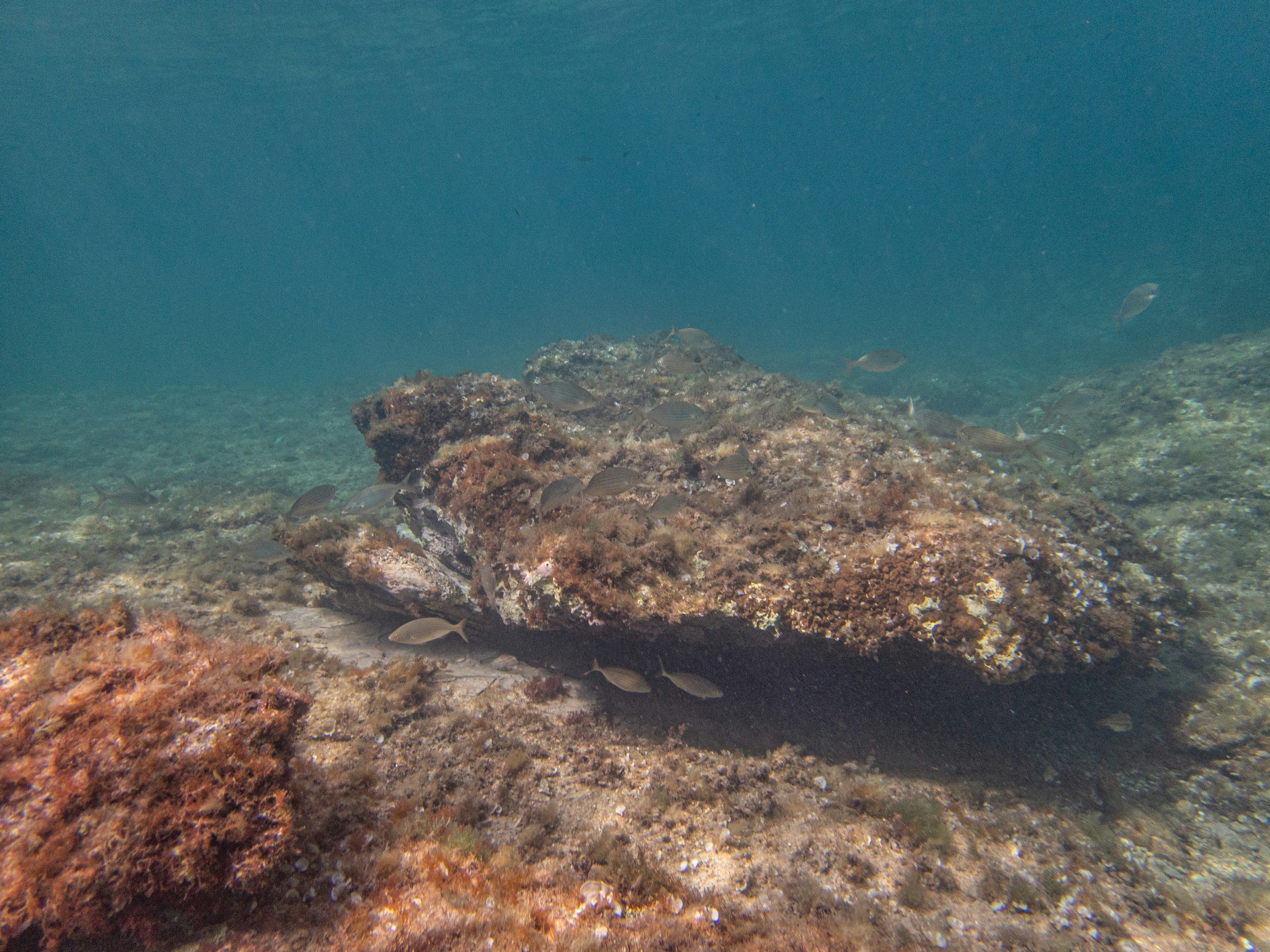 Photo by francesco_ungaro