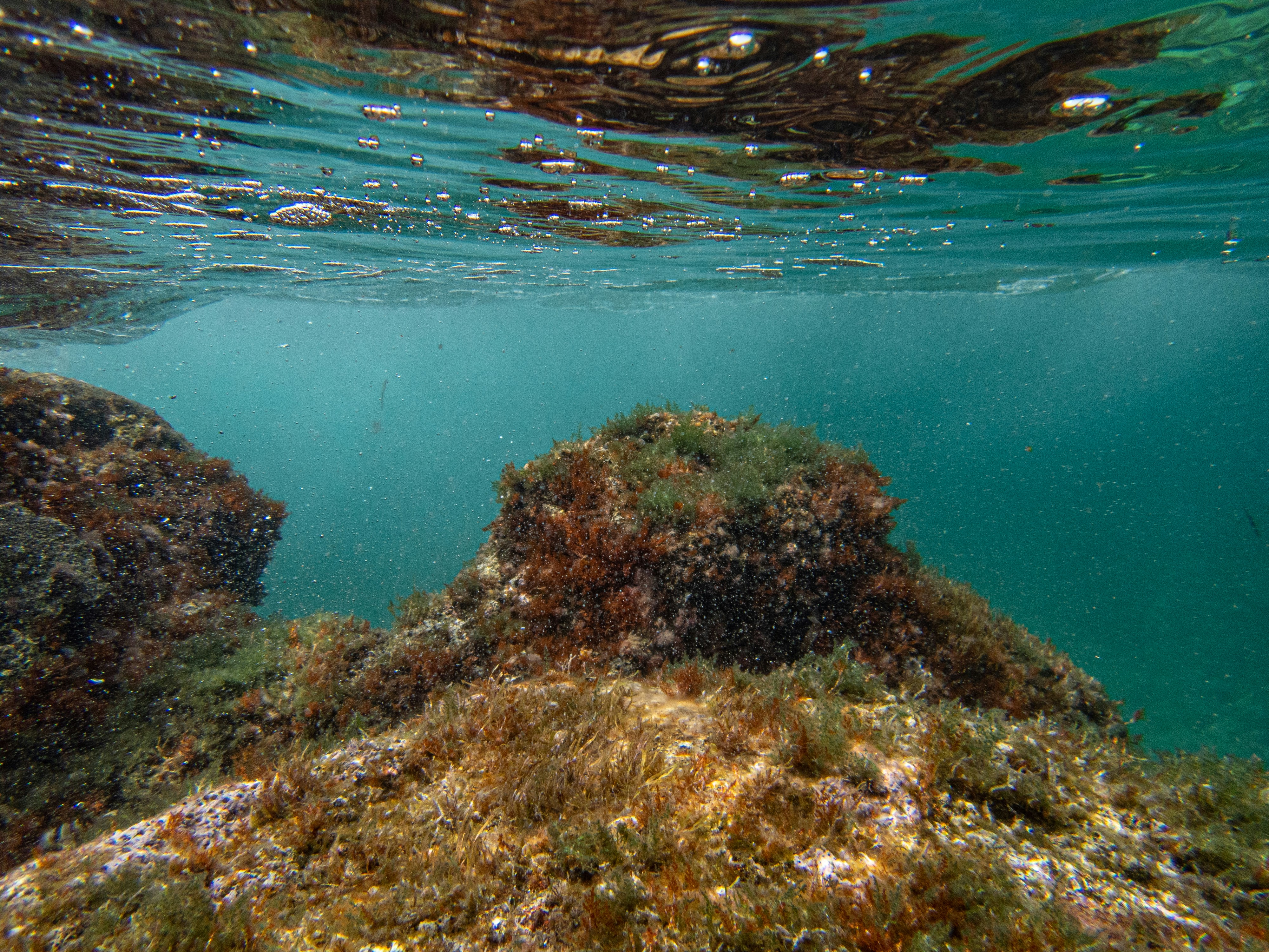 Photo by francesco_ungaro