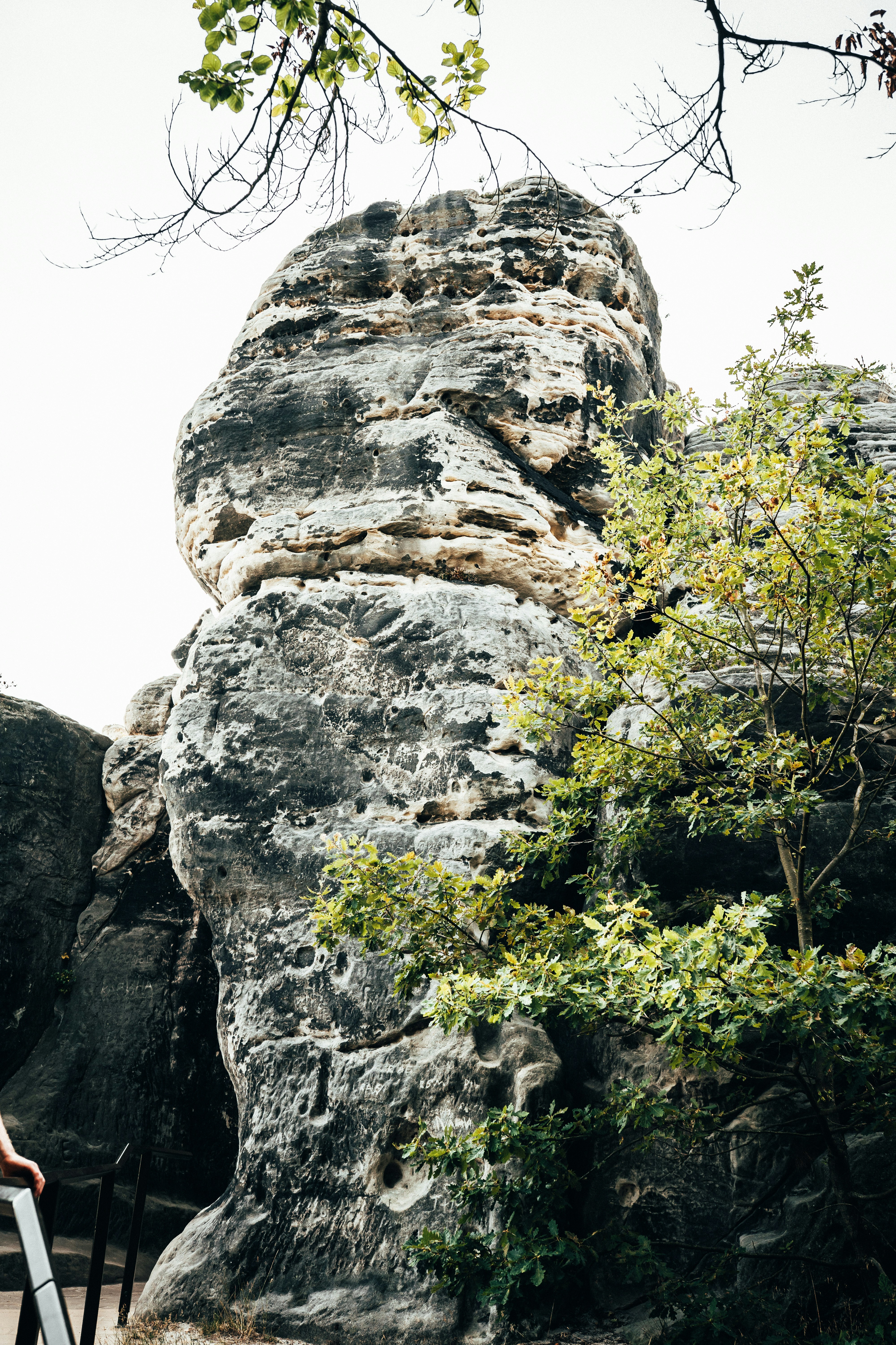 gray rocky mountain with green trees