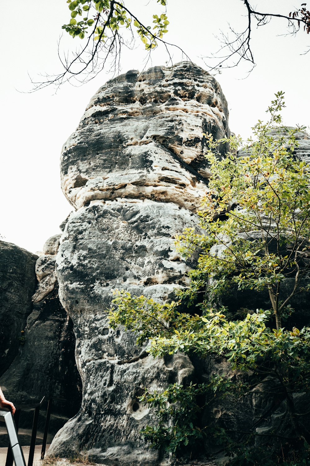 gray rocky mountain with green trees