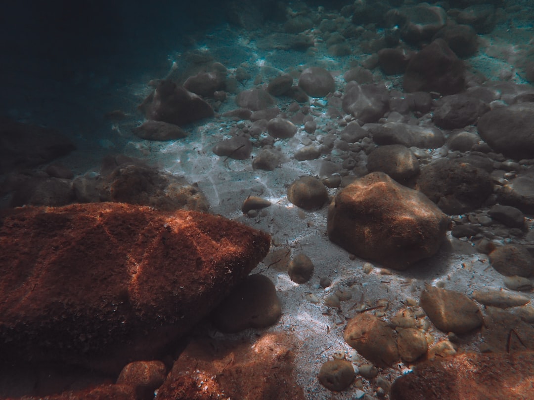 brown rocks on body of water