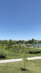 Urban park with walking paths and green landscaping.