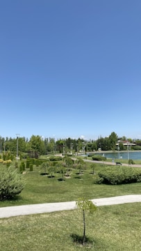 Urban park with walking paths and green landscaping.