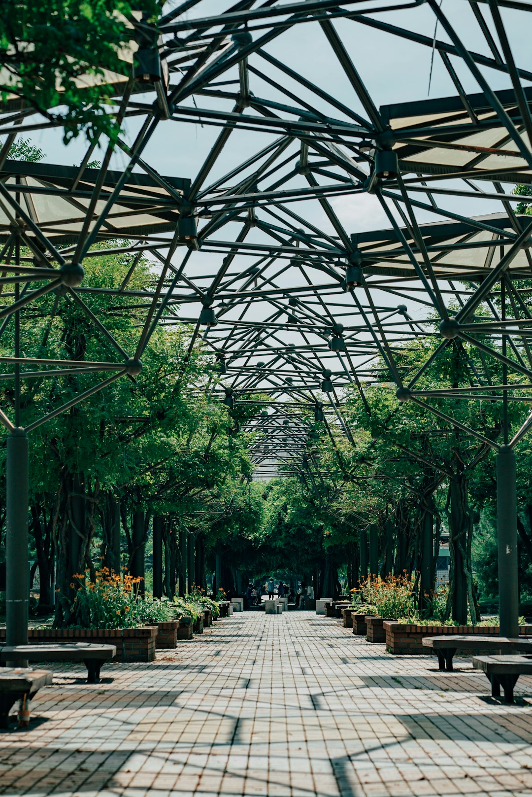 green trees and plants in greenhouse