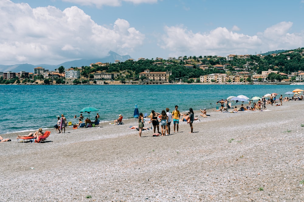 people on beach during daytime