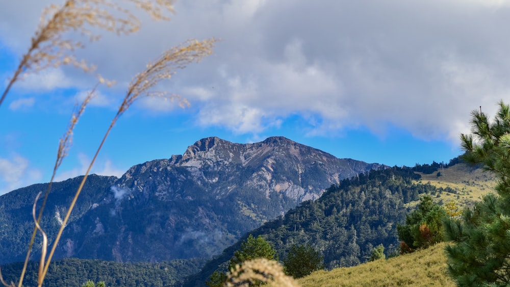 green grass field near mountain under white clouds during daytime