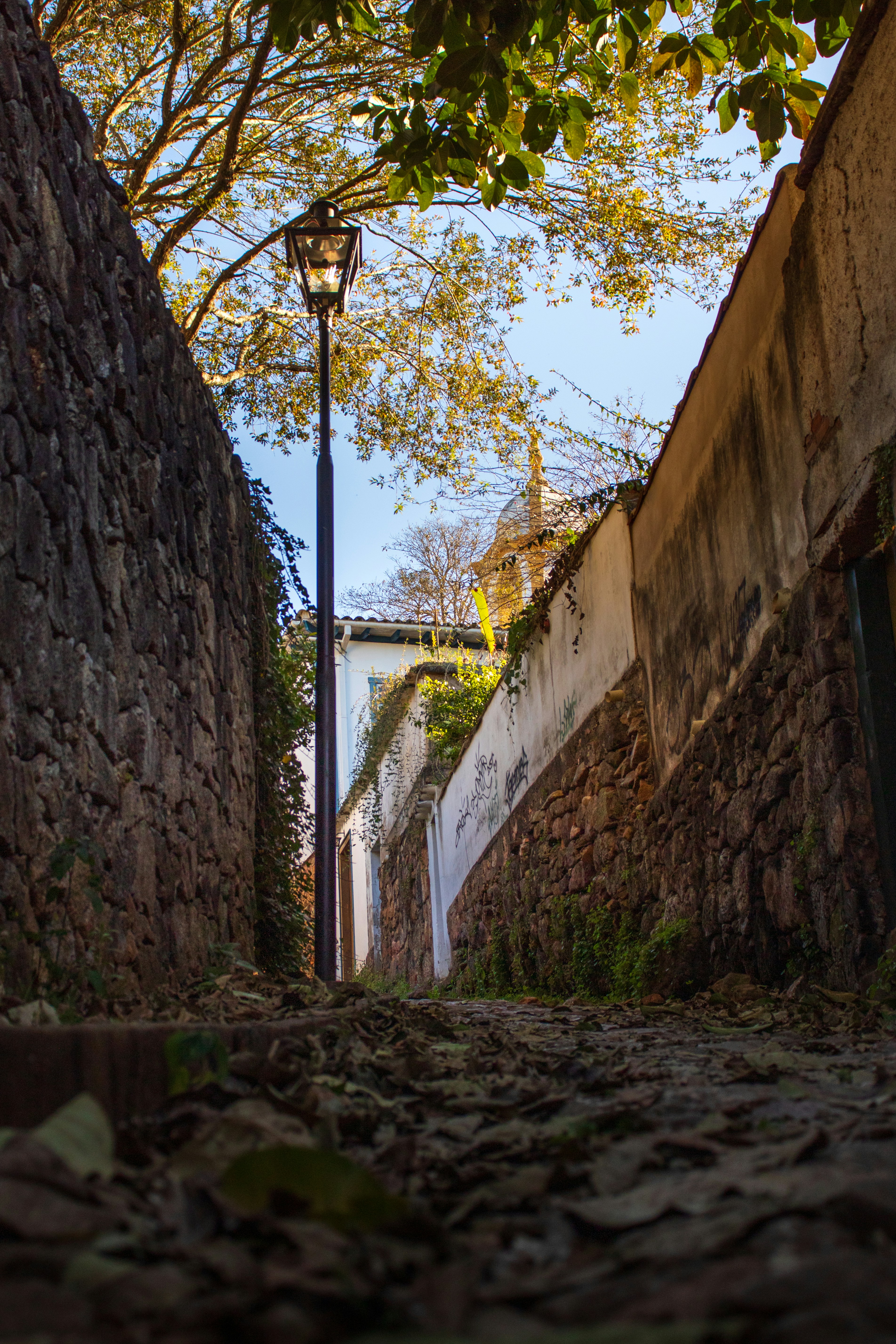 Photo by douglasmendess