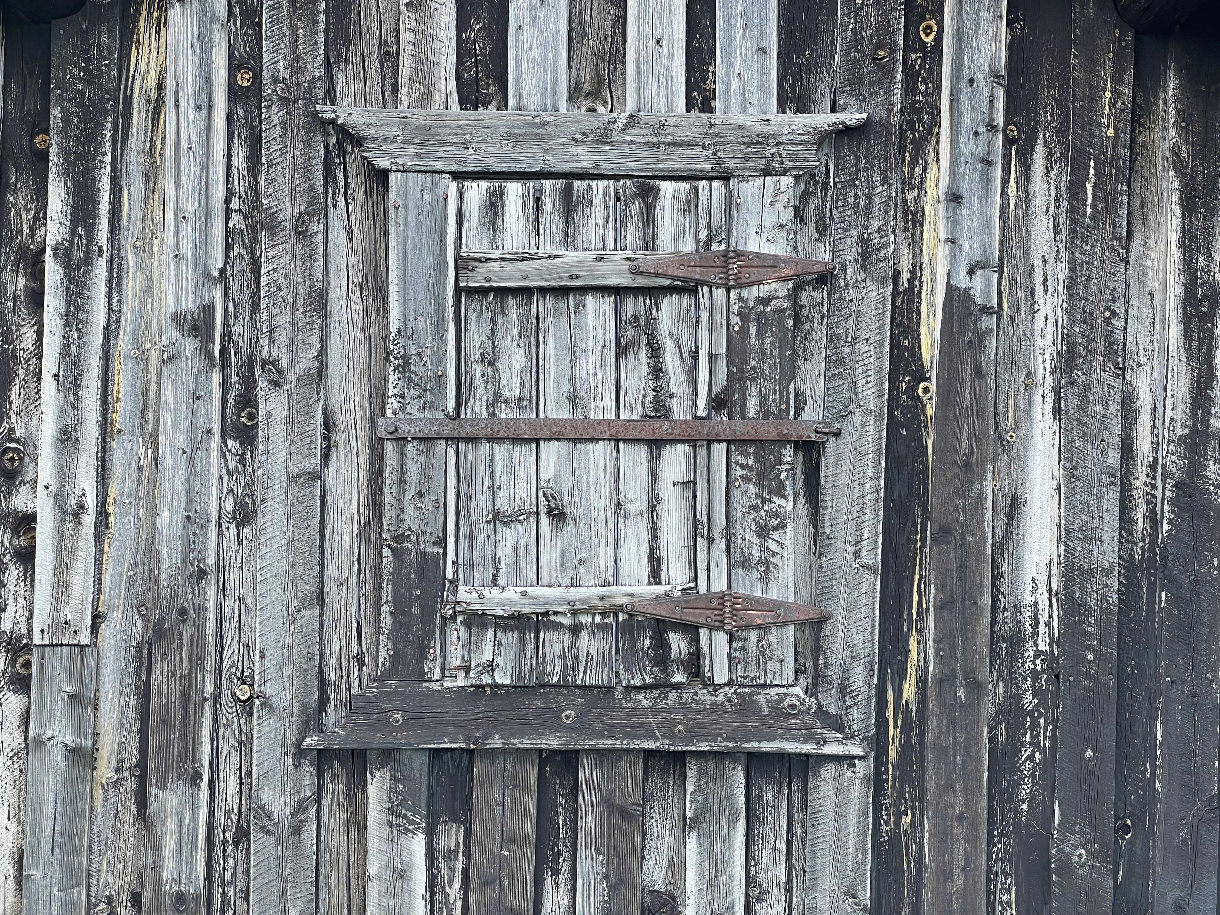 Photo by jorgencarling