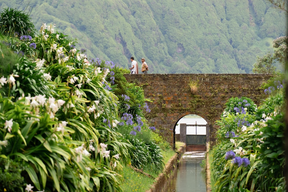 people walking on pathway between green plants near brown brick building during daytime