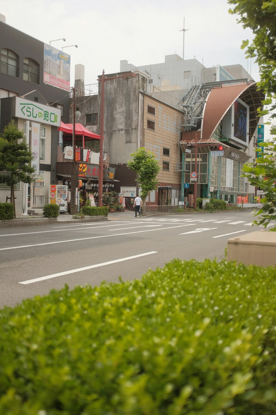 green trees beside gray concrete road during daytime