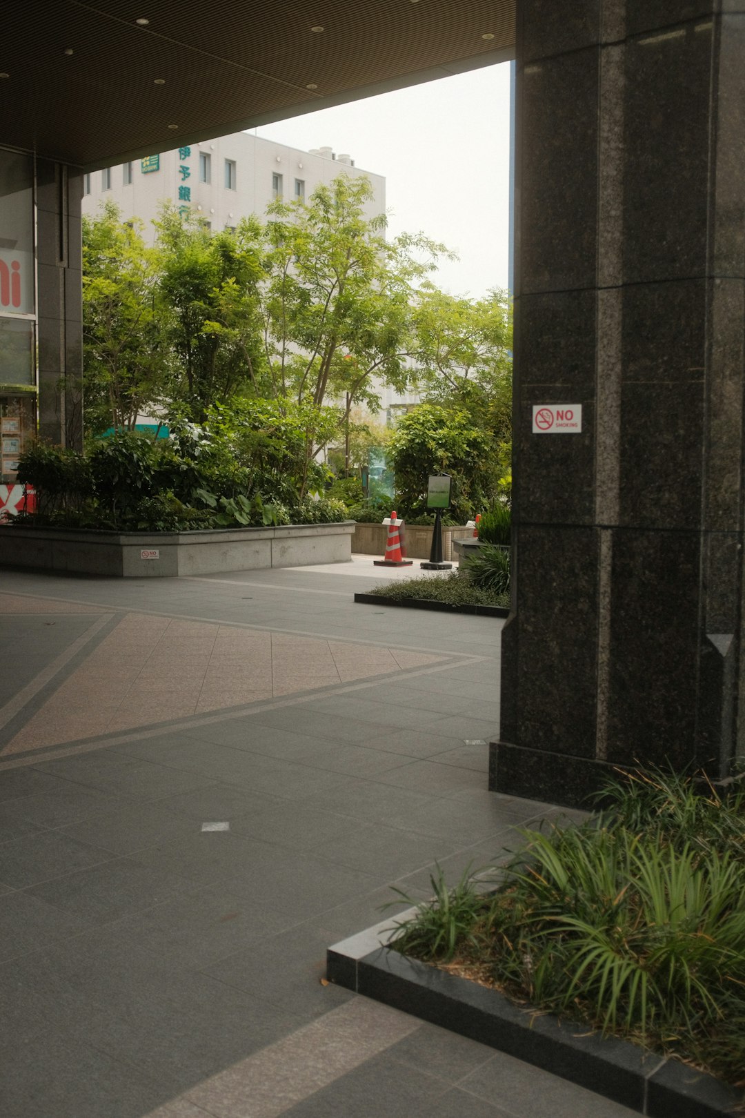 green trees near white concrete building during daytime