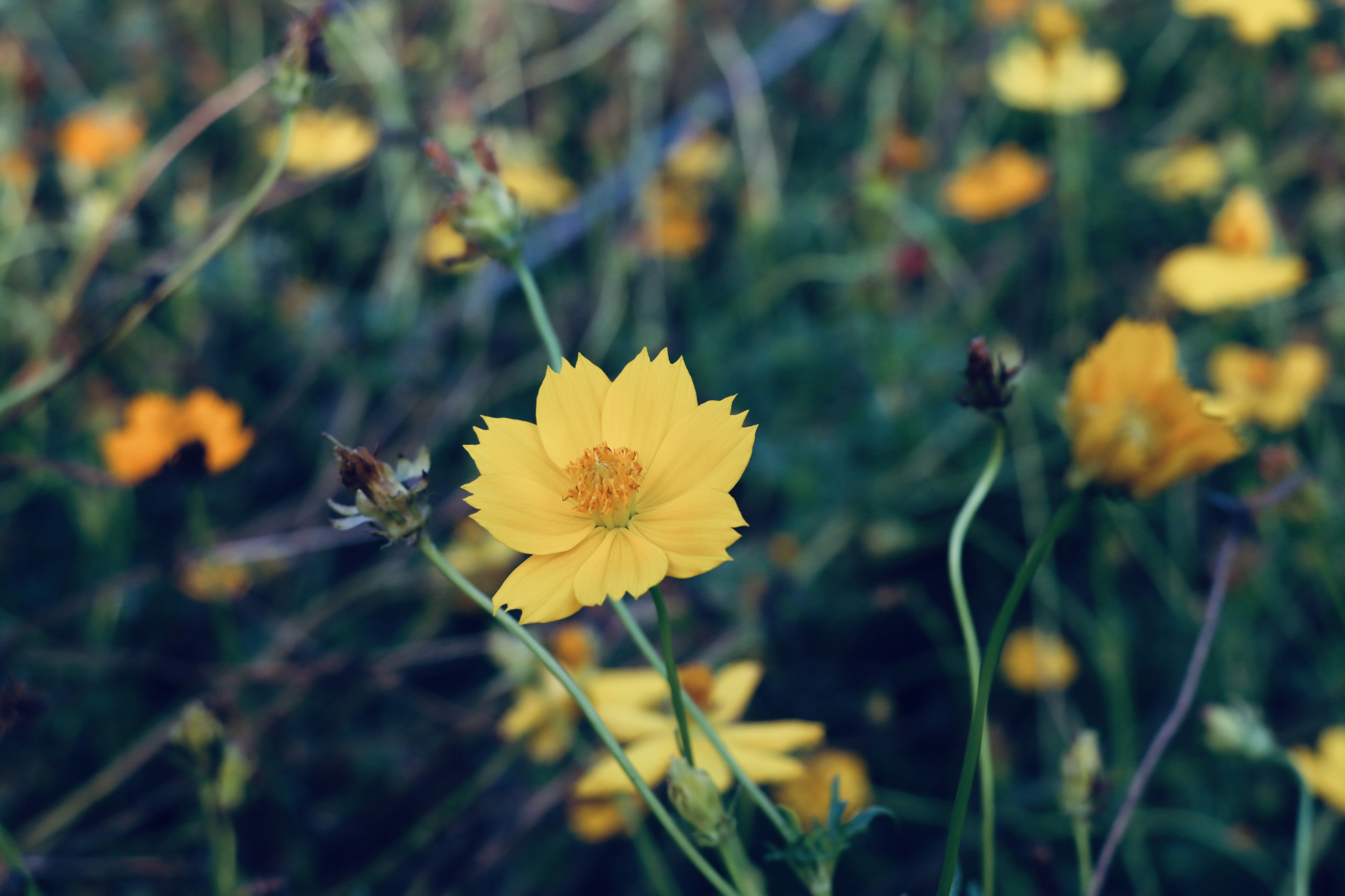 Photo by piyushtaneja