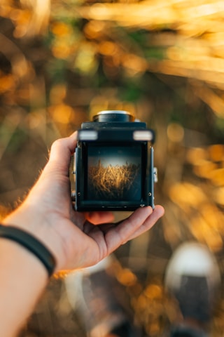 A hand holds a vintage camera, focusing on a field of wheat visible through the viewfinder. The background is blurred with warm golden hues, suggesting a sunset or sunlight over a natural landscape. The scene conveys a sense of nostalgia and warmth.