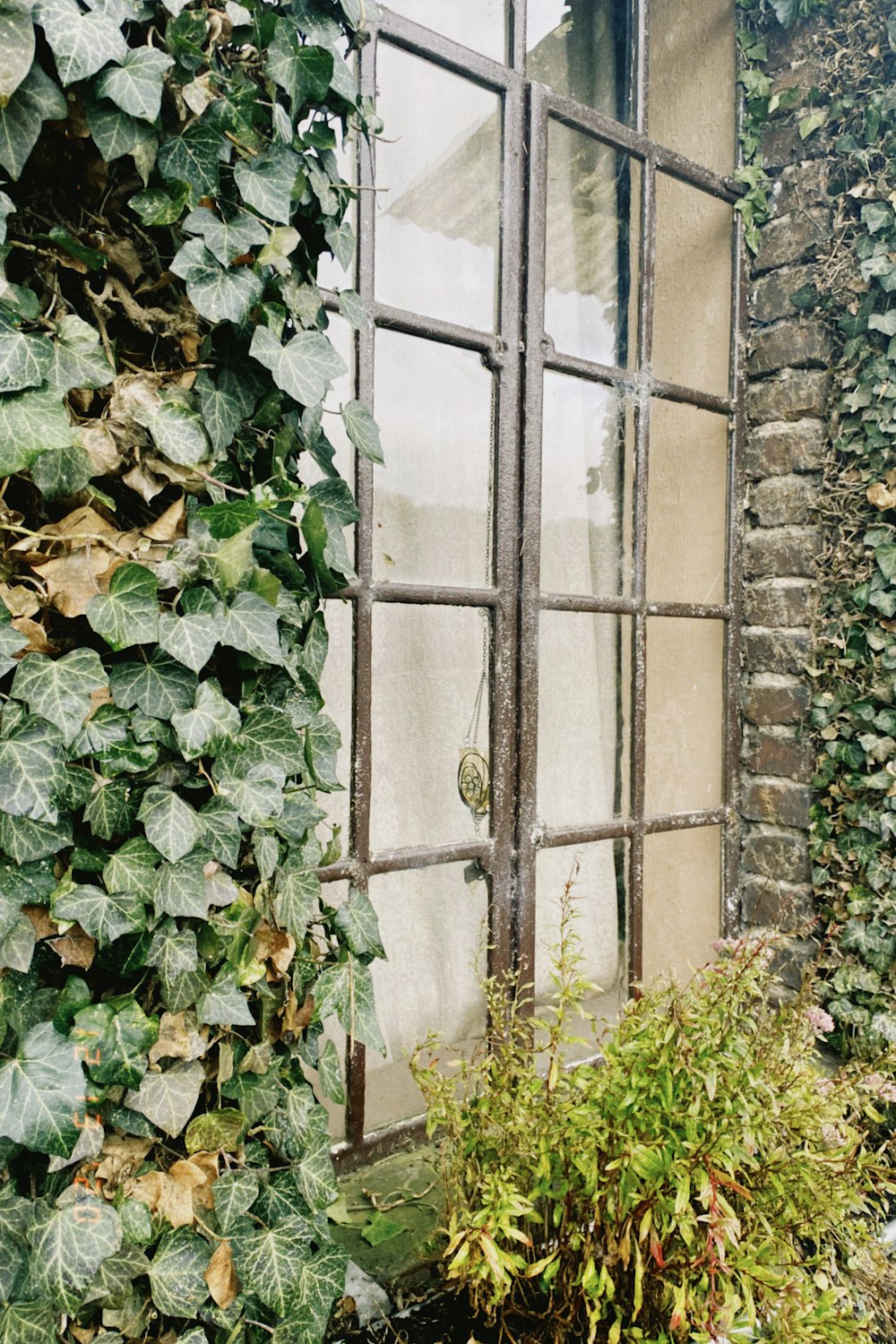 green vines on brown brick wall