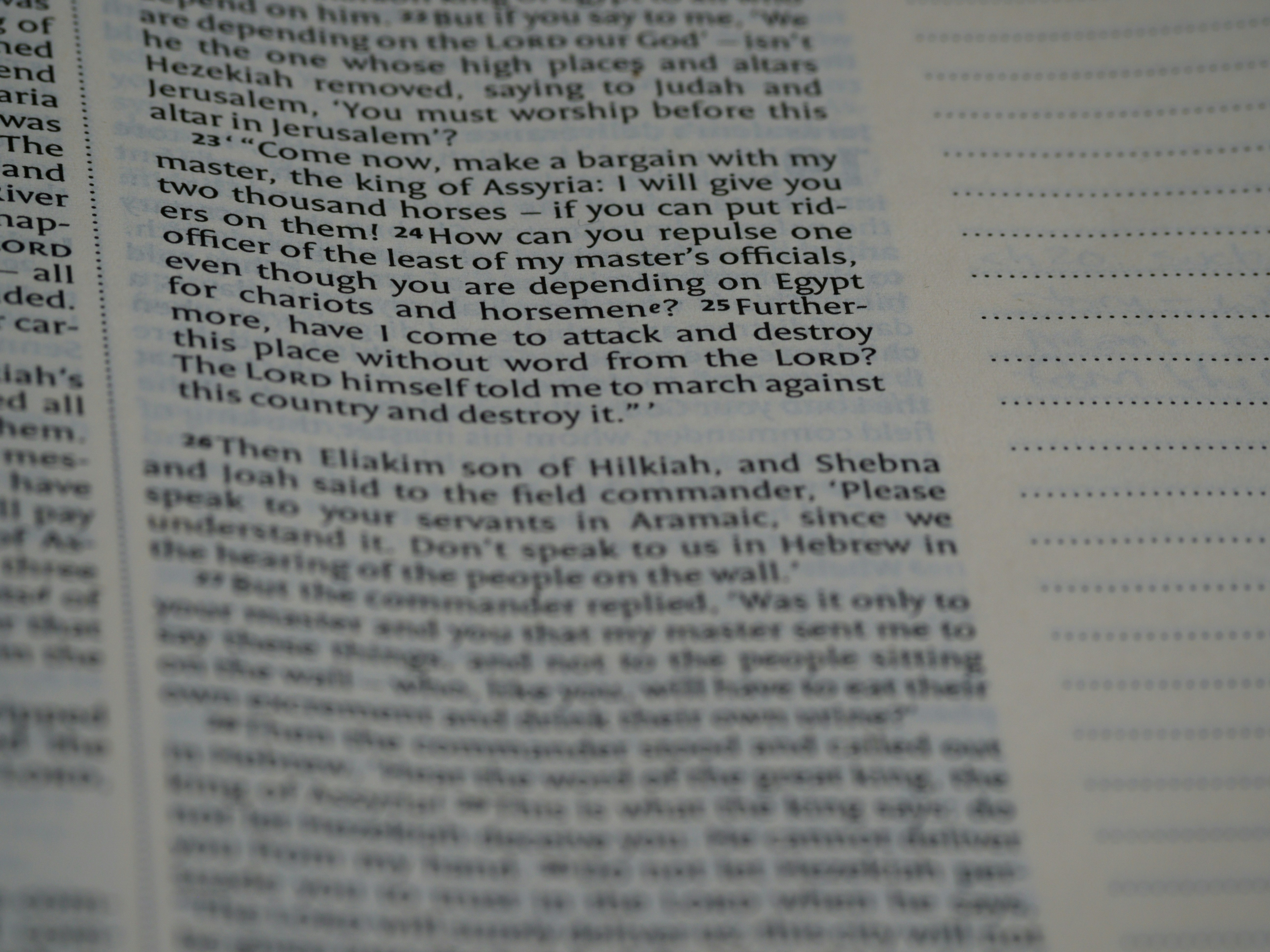 Photo by brett_jordan