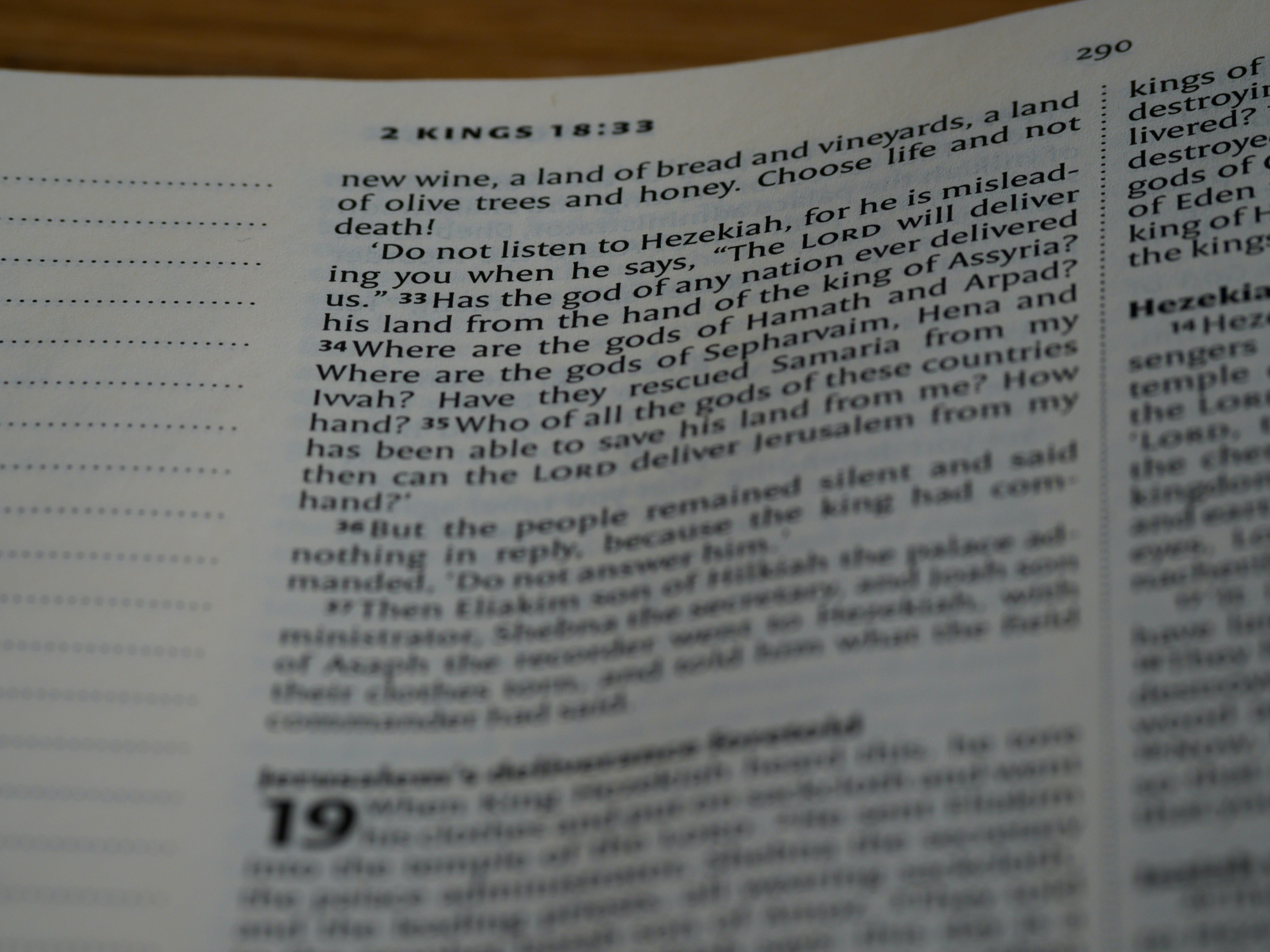 Photo by brett_jordan