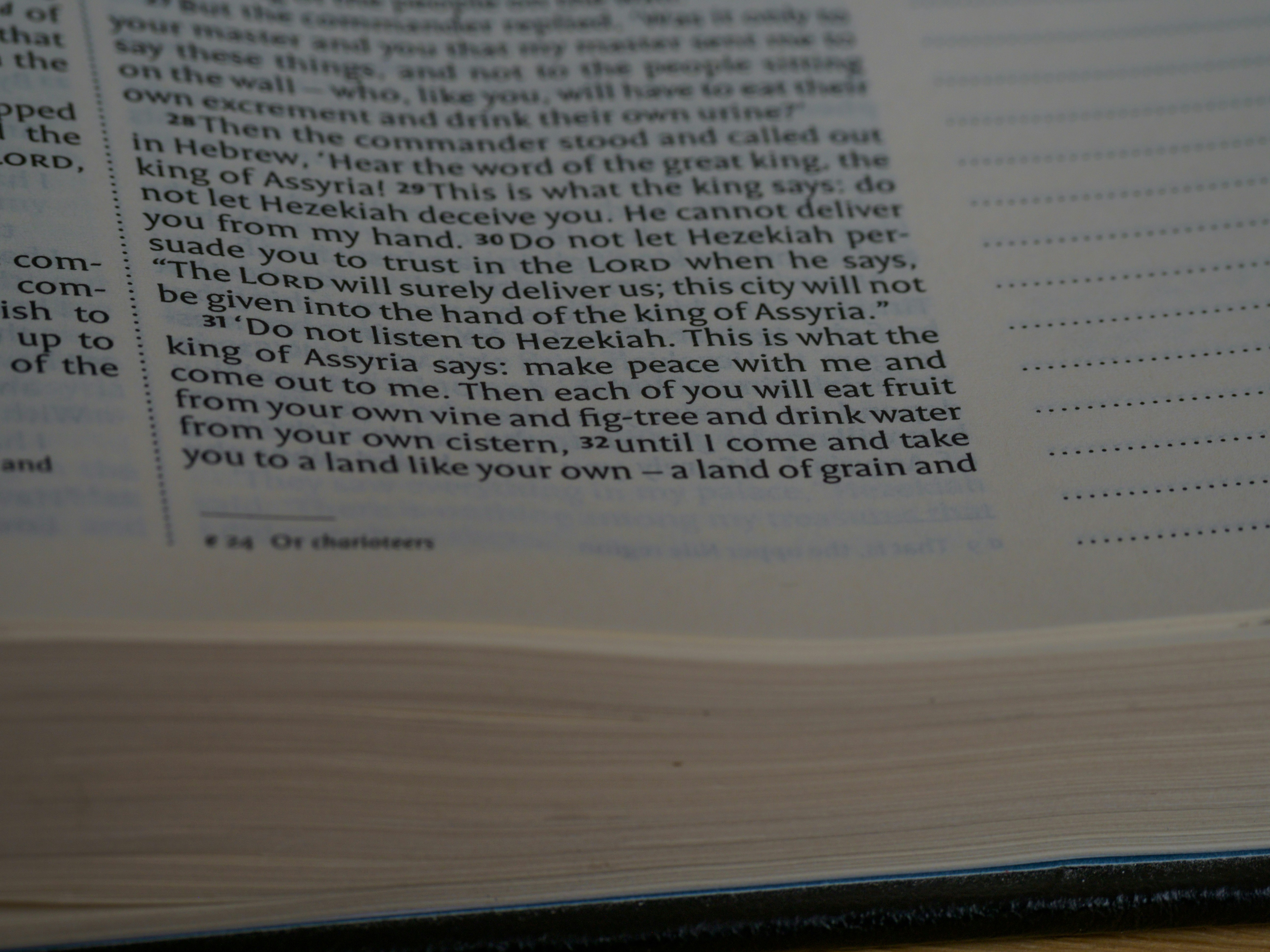 Photo by brett_jordan