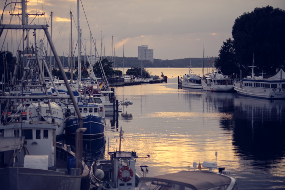 white and black boat on body of water during daytime