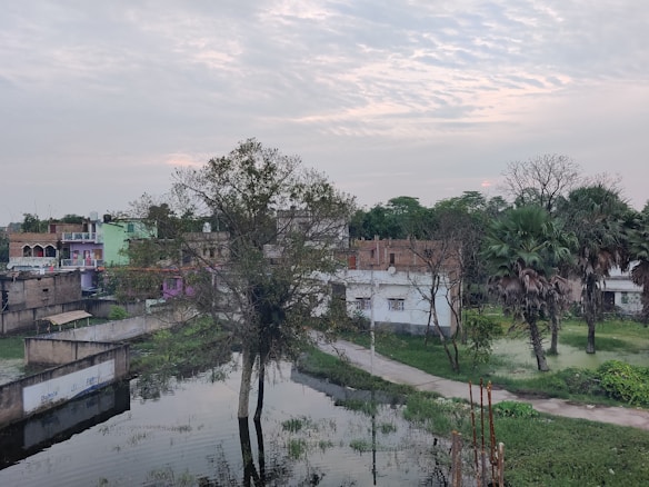 The image features a rural setting with a small water body in the foreground reflecting a few trees, including a large one extending its branches. Behind the water body, there are several modest houses painted in different colors like green and purple. The background showcases more vegetation with trees and the sky is partially cloudy.