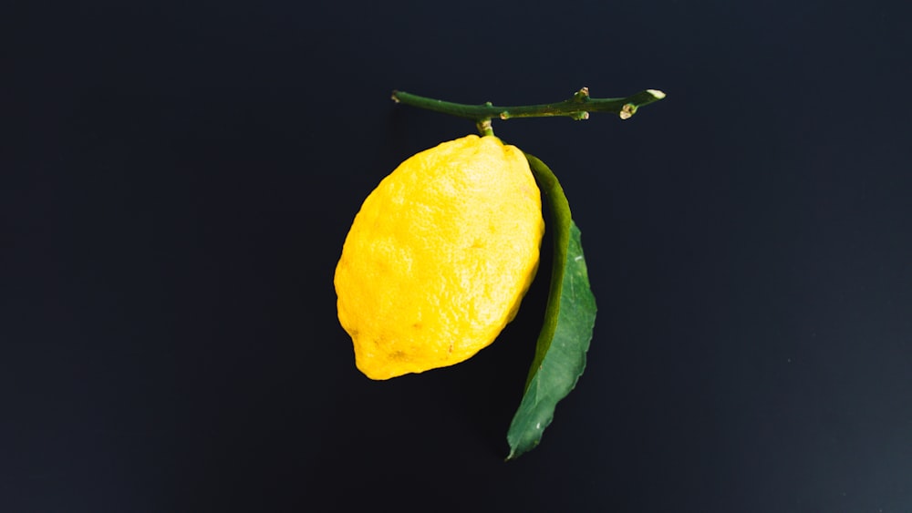 yellow lemon fruit with green leaves