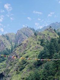 A lush green mountainside with rocks and trees under a clear blue sky. Colorful prayer flags are strung across the scene, adding a vibrant touch to the natural landscape.