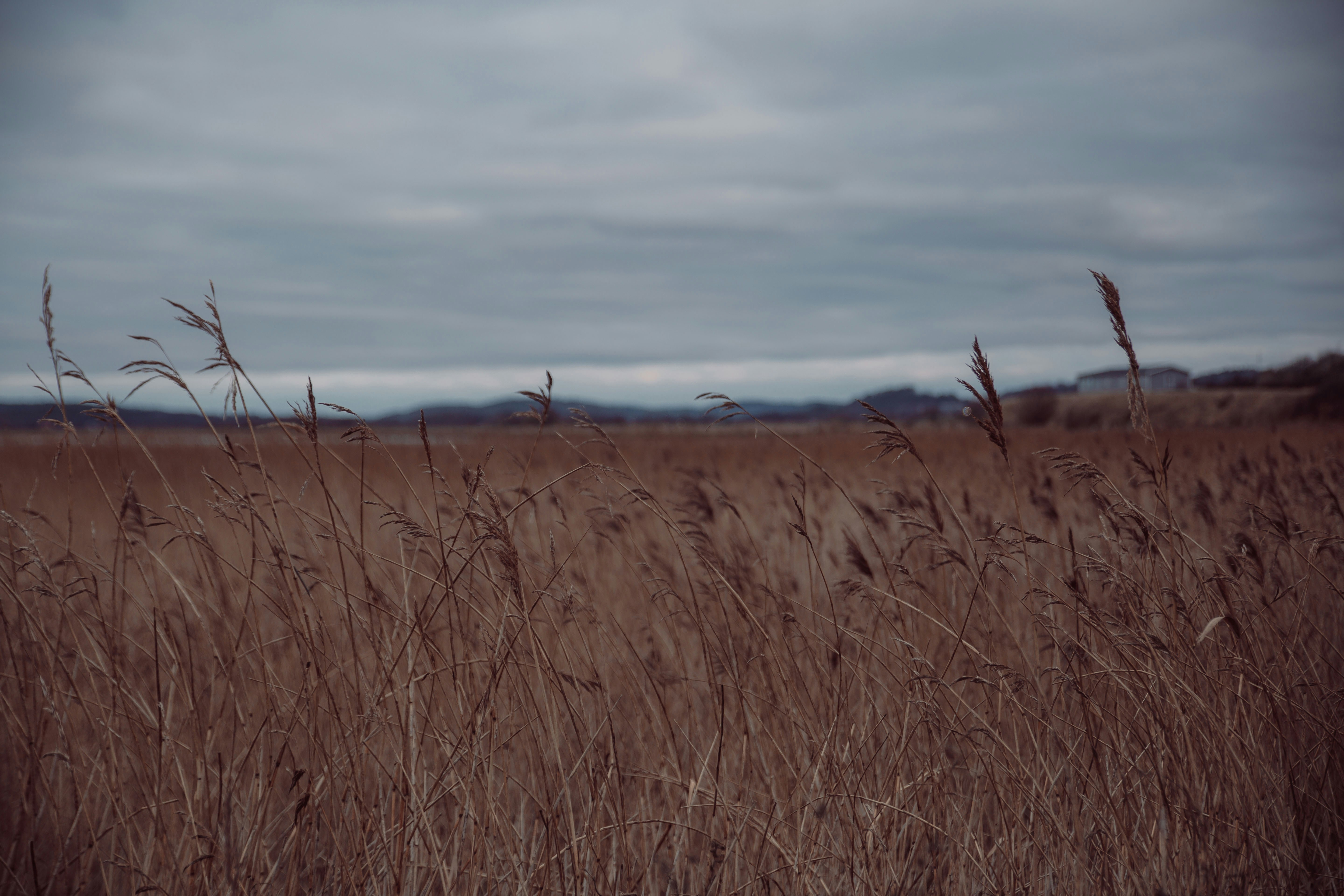 Photo by sarakallner