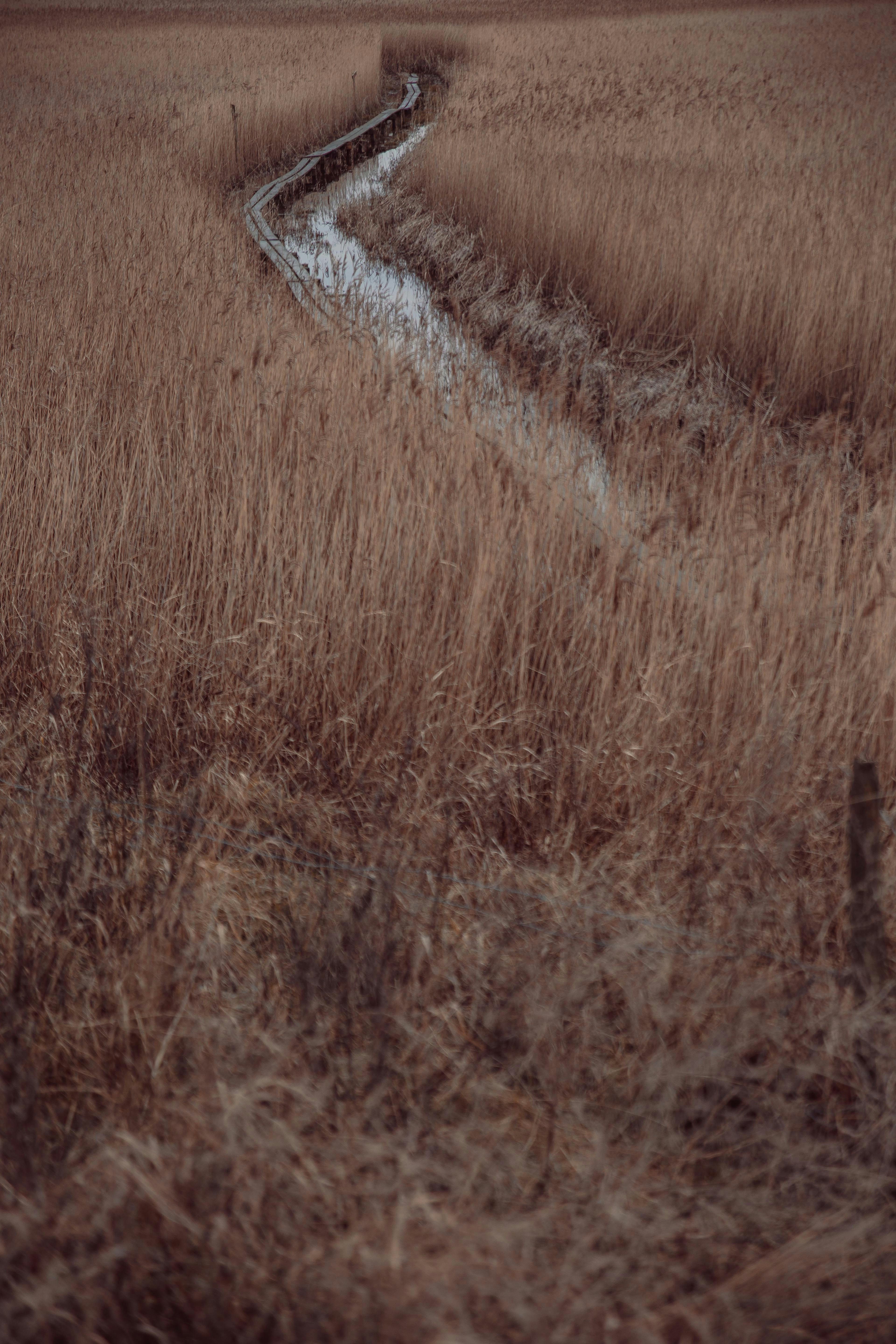 Photo by sarakallner