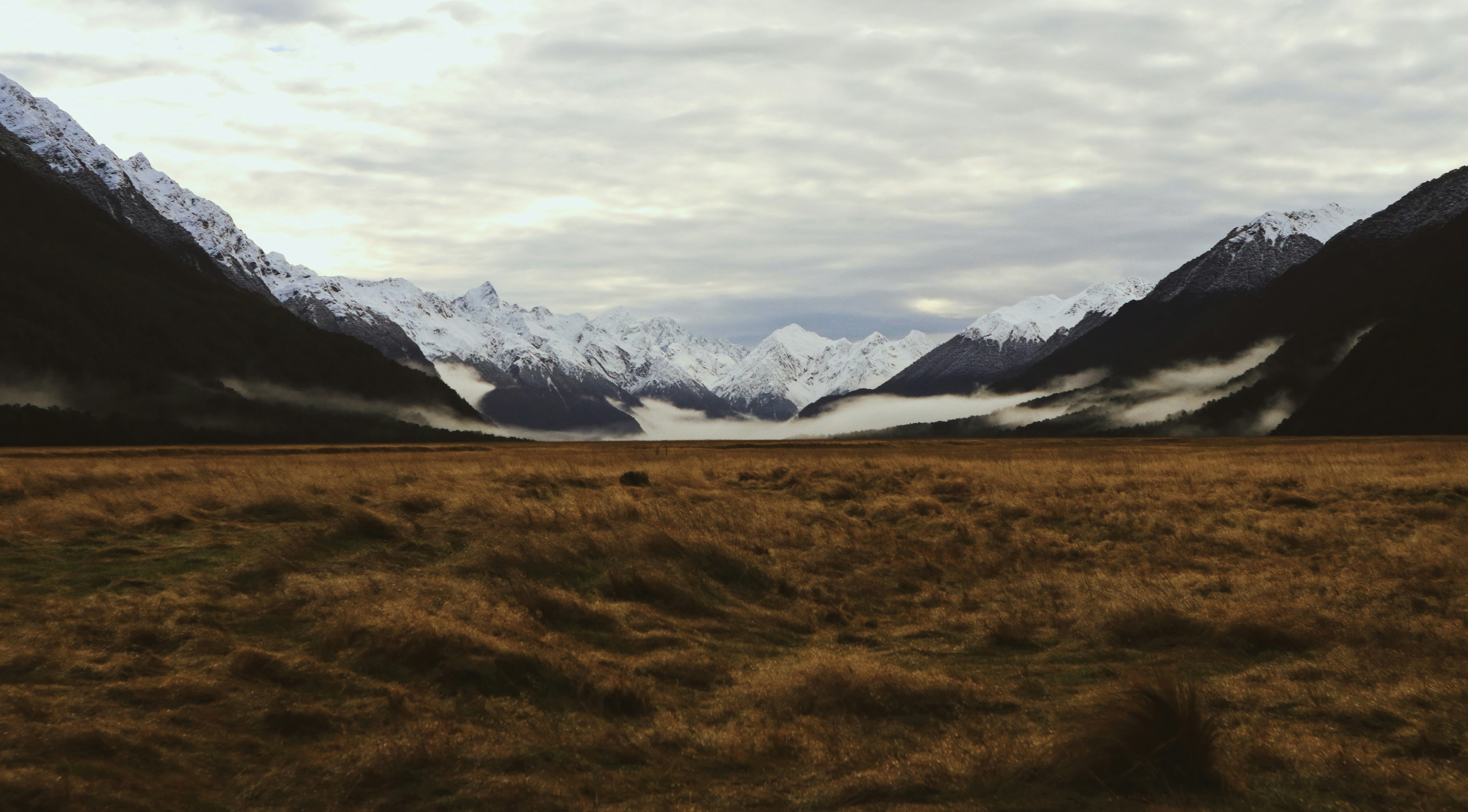 Photo by ginevraustine