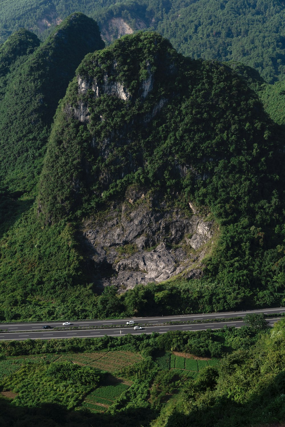 green trees on mountain during daytime