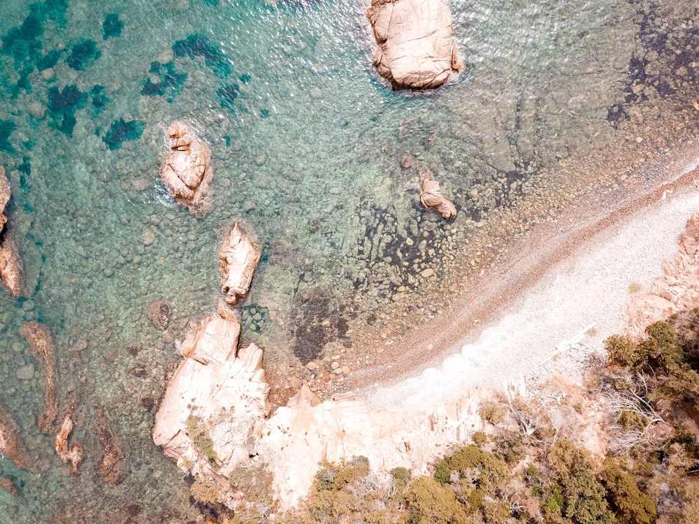 aerial view of beach during daytime