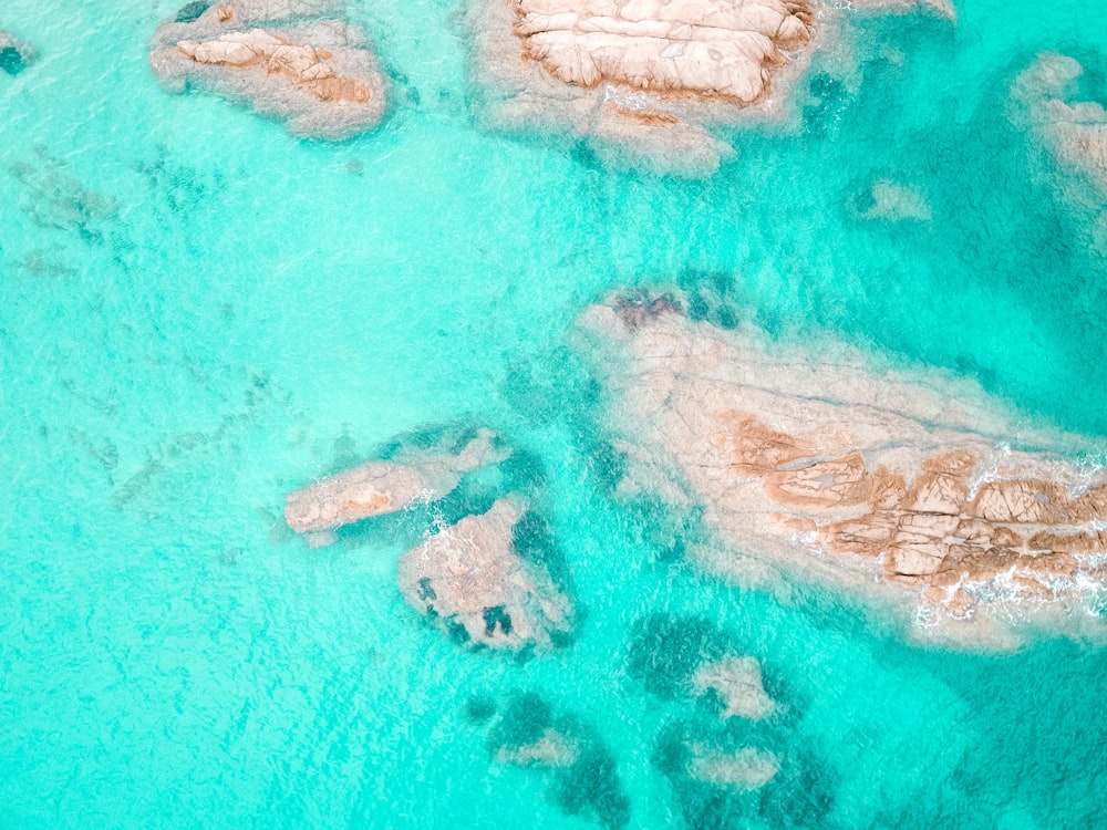 aerial view of green and brown beach