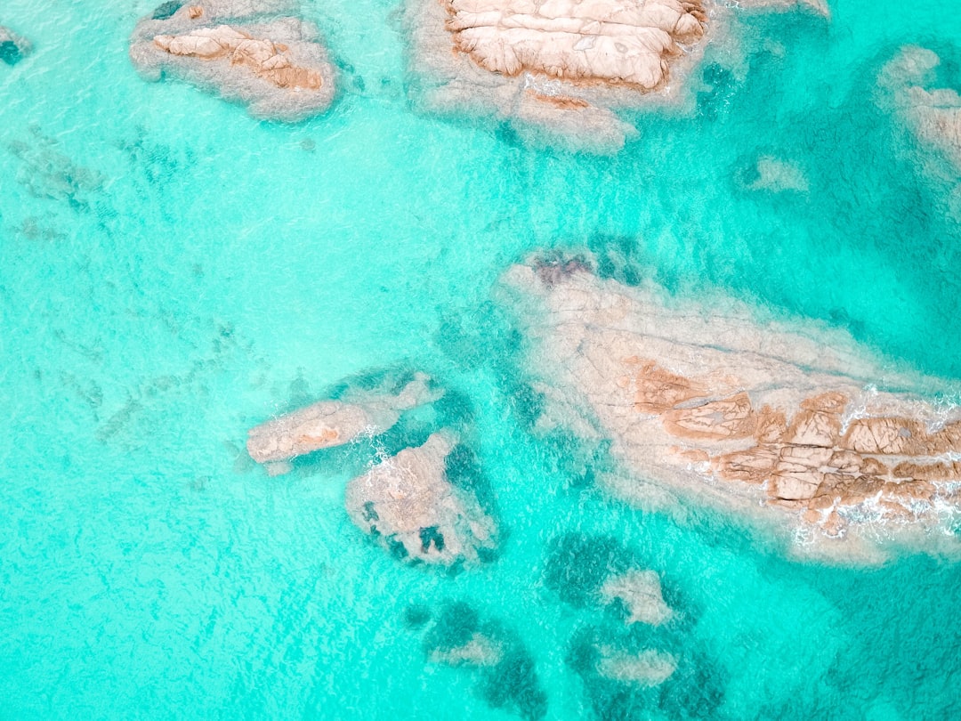 aerial view of green and brown beach