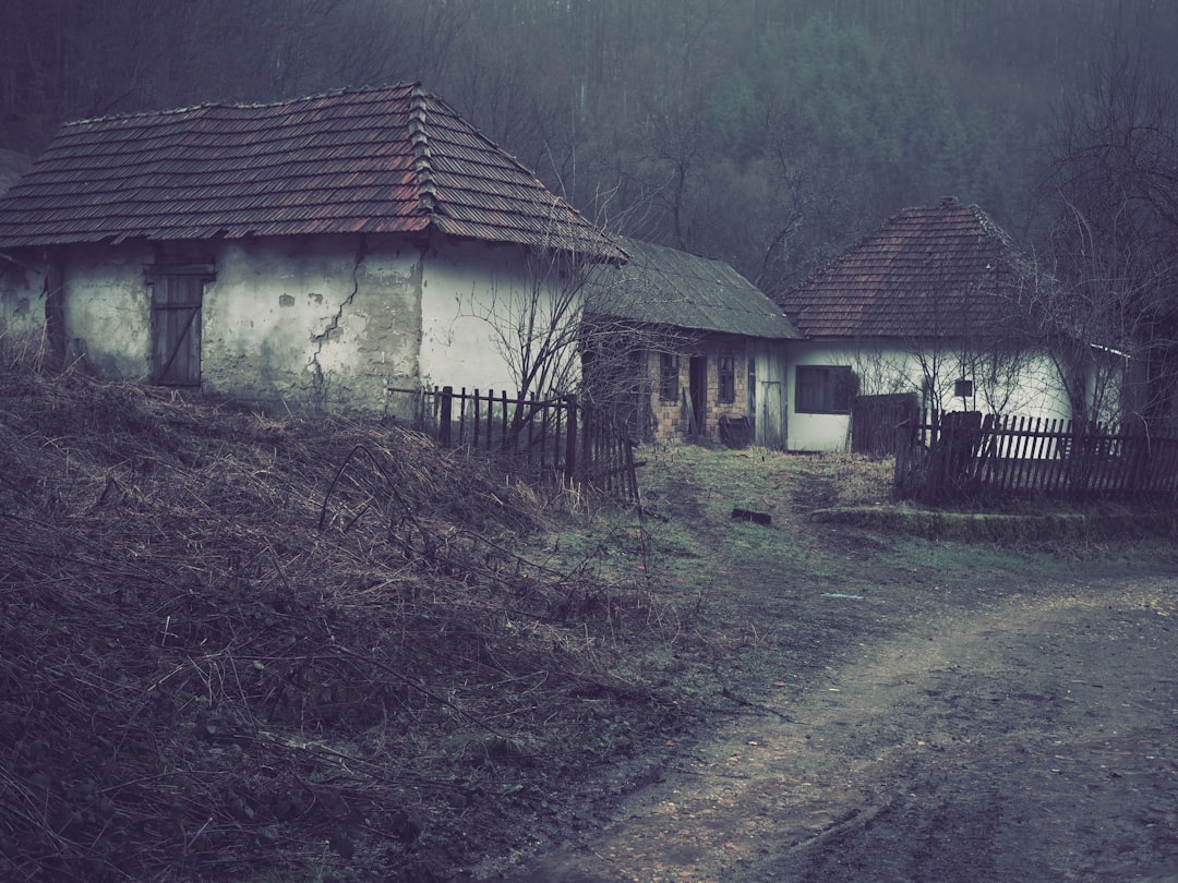 white and brown house near green trees during daytime