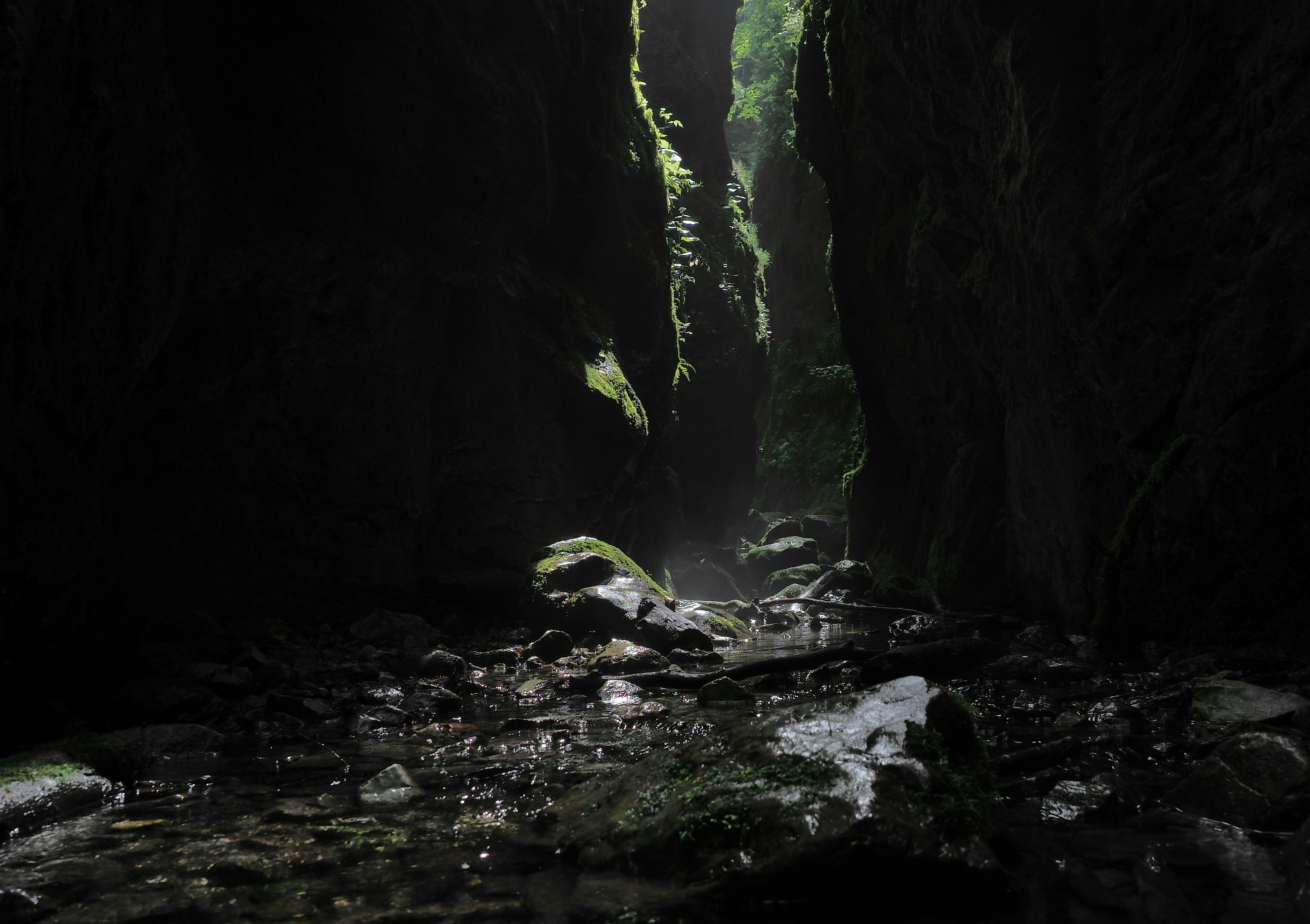 Photo by illes_cristi