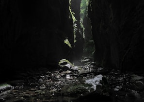 A peaceful moment showing footprints along the mossy canyon floor with sunlight filtering through narrow rock walls.