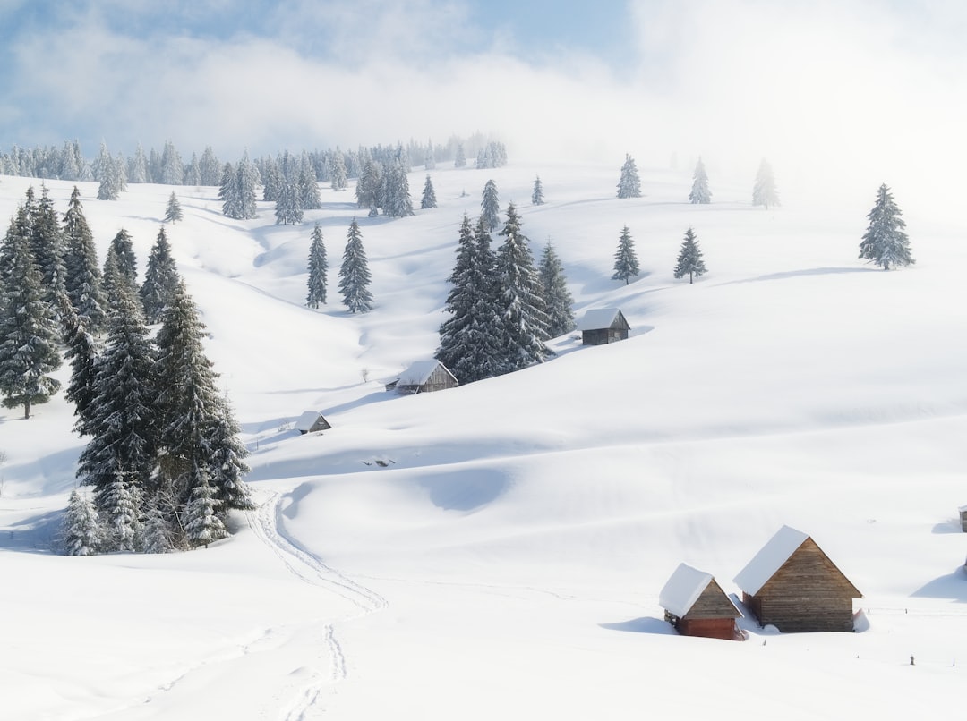 brown wooden house on snow covered ground during daytime