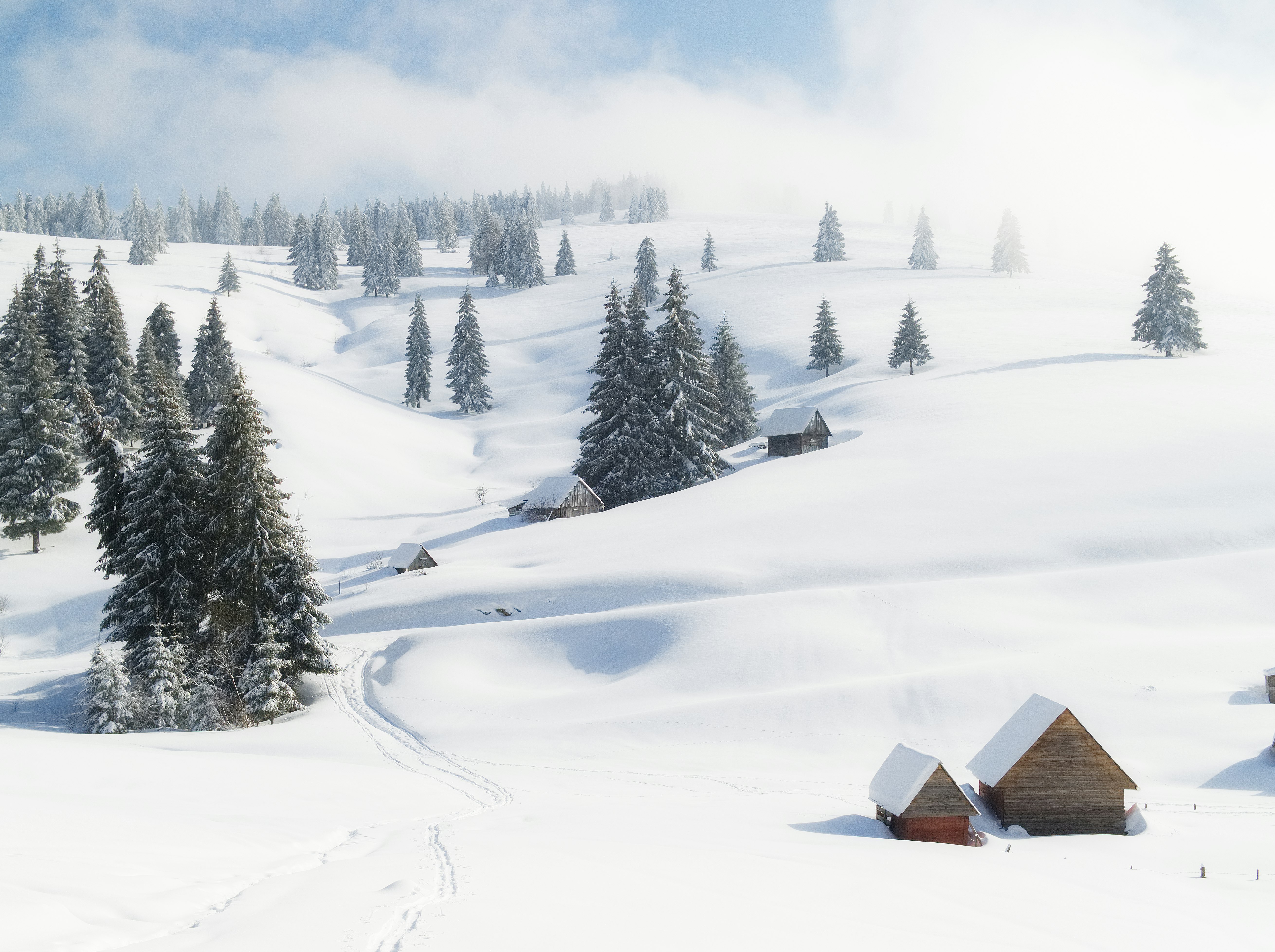 brown wooden house on snow covered ground during daytime
